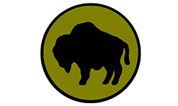 92nd Infantry Division (Buffalo)