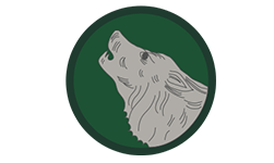104th Infantry Division (Timberwolves)