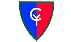 38th Infantry Division (Cyclone)