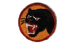 66th Infantry Division (Black Panther)