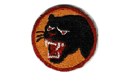 66th Infantry Division