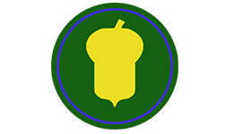 87th Infantry Division (Golden Acorn)