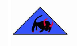 44th INDIAN ARMOURED DIVISION