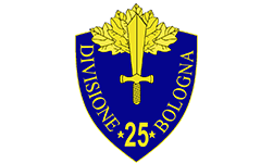 25th Semi-Motorized Division