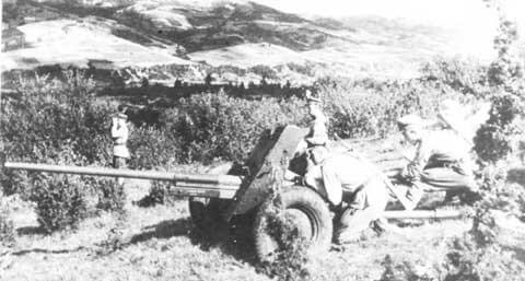 45mm M.1942 Anti-Tank Gun